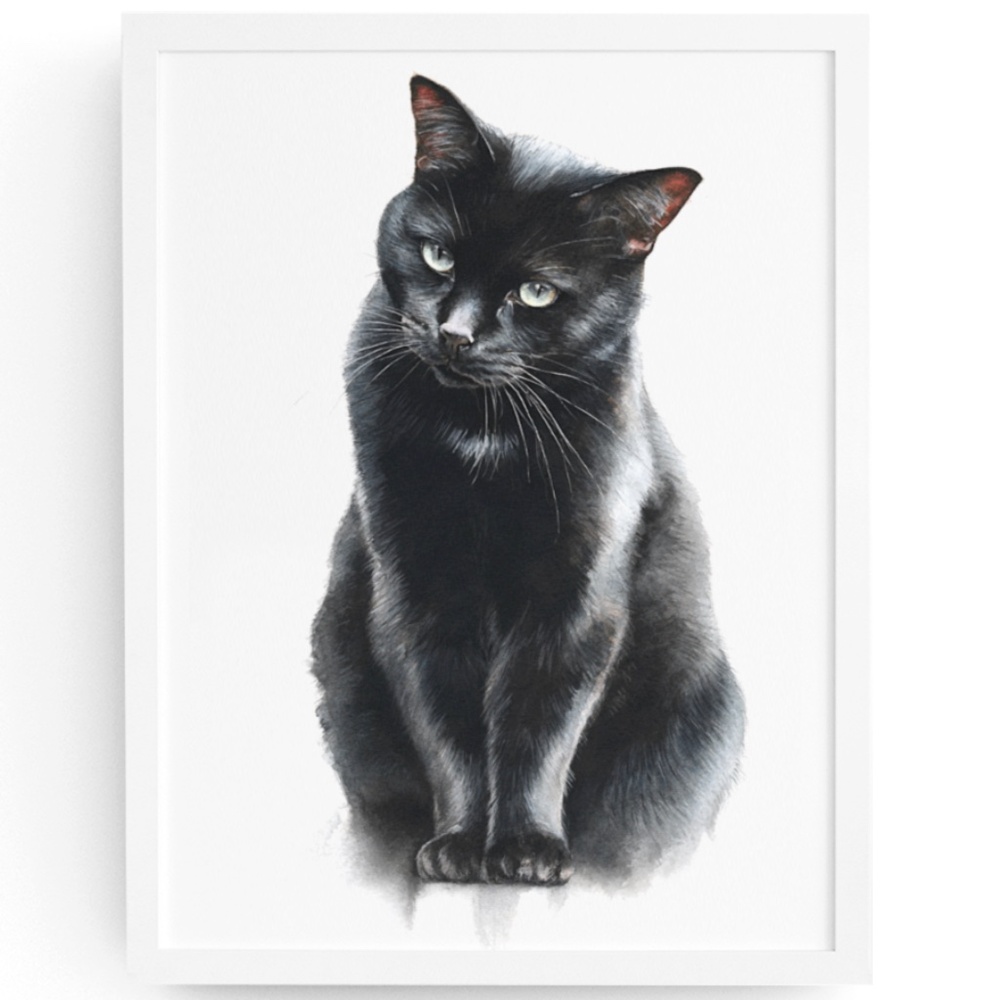 Watercolor Siberian Black Cat Art Print Illustartion - Pet Portrait - Unframed